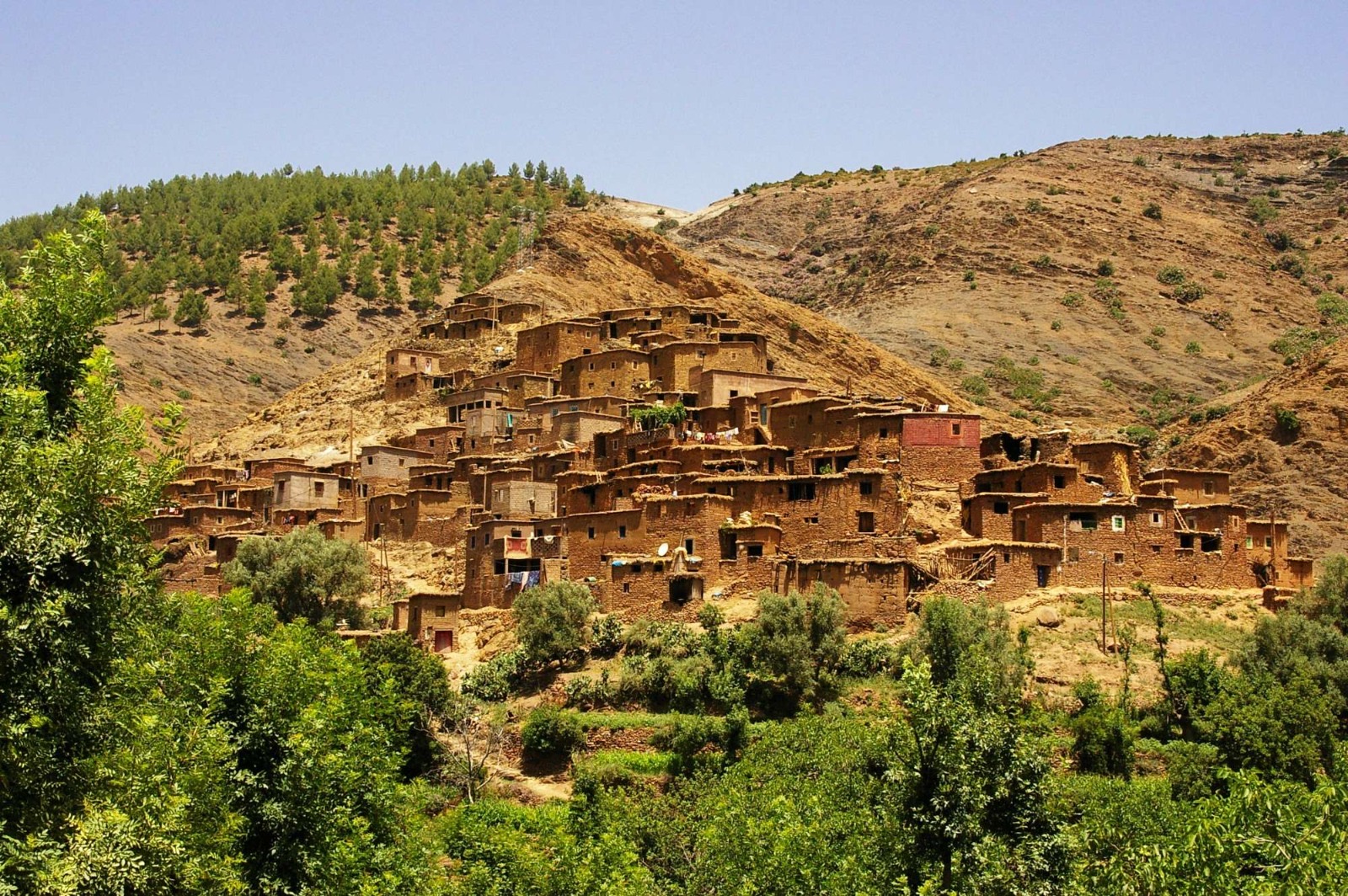 Meknes & Volubilis